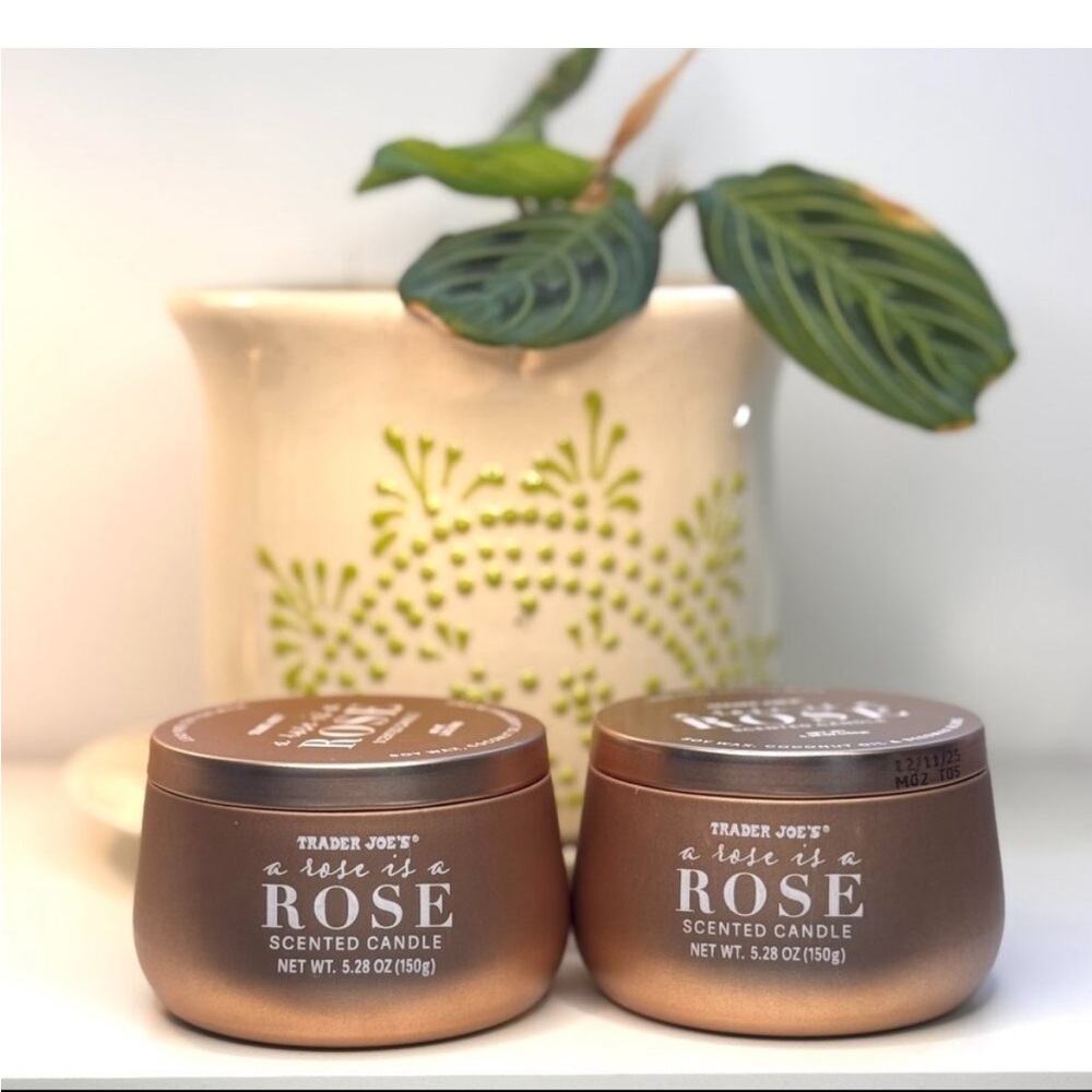 Trader Joe's "A Rose is a Rose" Scented Candle - Rose 2X, set of 2 new candles